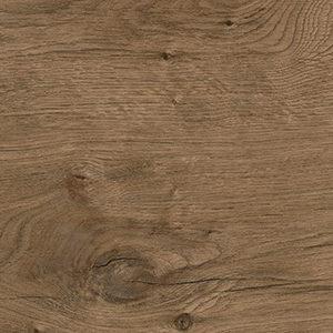 7002 - Shroom Constitution Oak